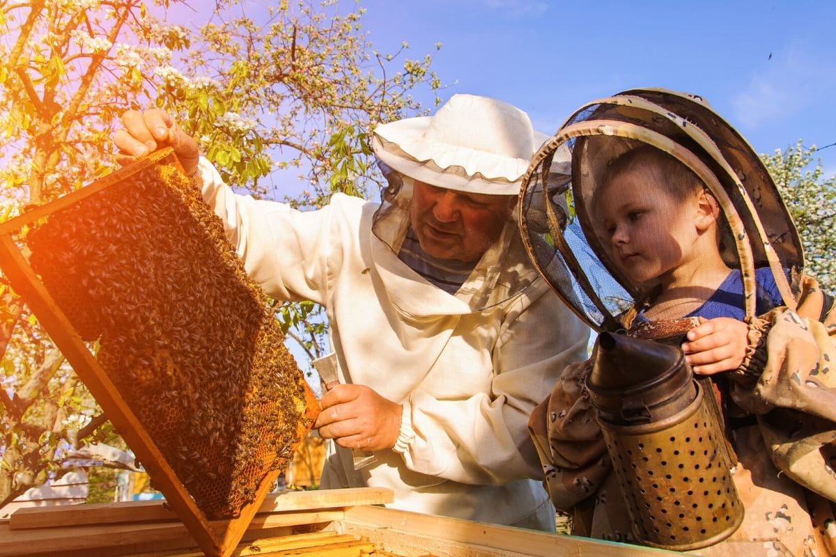 olej cbd kapsulki tabletki konopne propolis produkty sklep